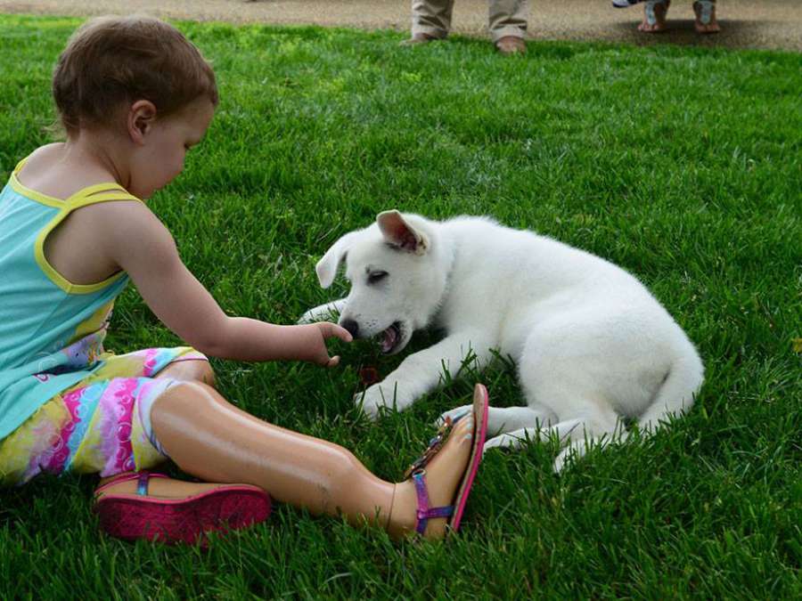 antena3com's tweet photo. Regalan un perrito sin pata a una niña de tres años que no tiene pies
http://t.co/r7UlYkTfMG http://t.co/NWAkP8LjPt