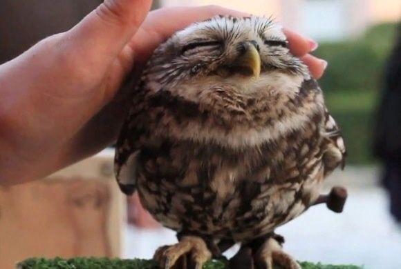 BasicLynn's tweet image. When bae plays with my hair