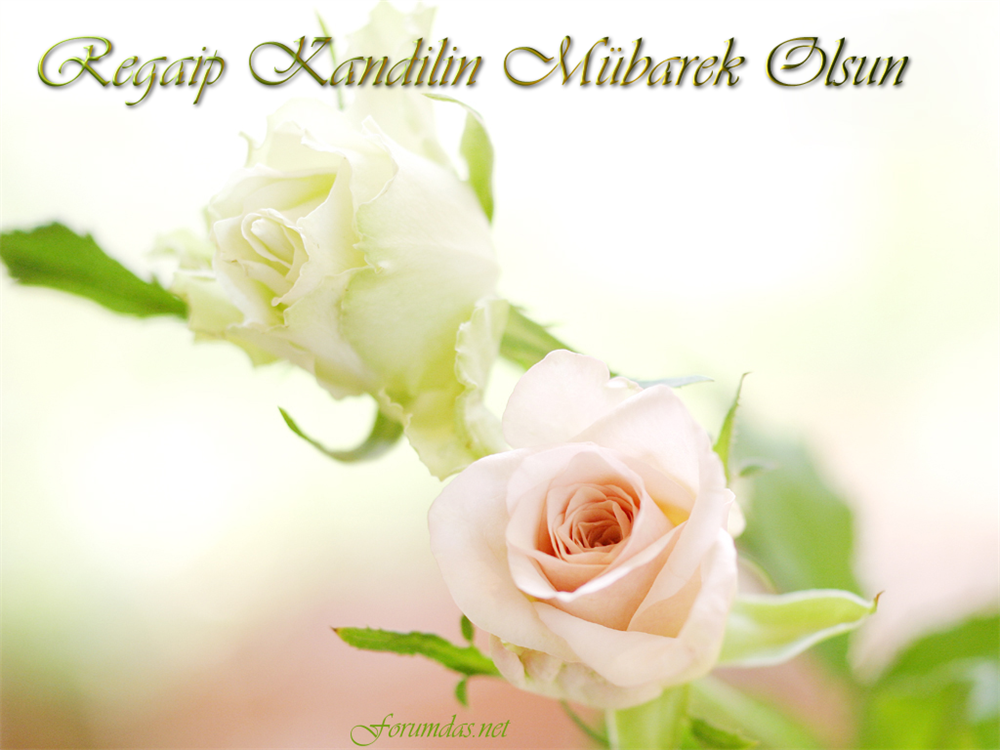 Memur Sen Bitlis (@memursenbitlis) on Twitter photo 