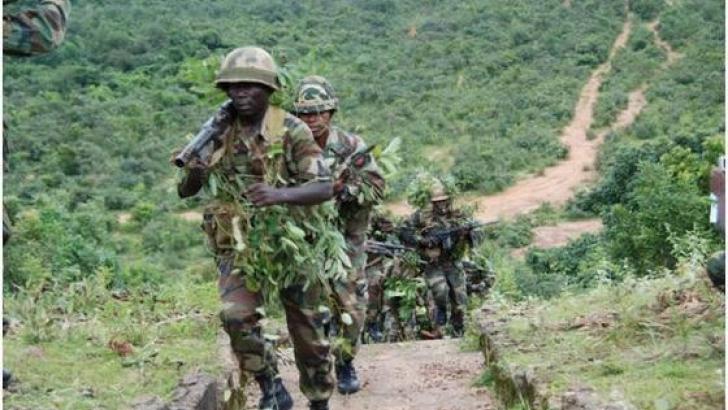 JUST IN: Nigerian Troops Rescue About 300 Female From Sambisa Forest