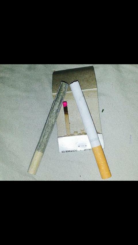 Aka L'Alien tweet media