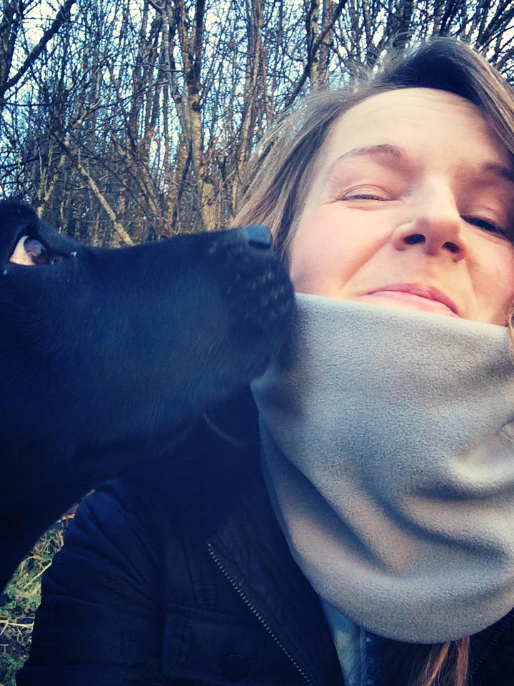 Dog Walker Cornwall tweet media