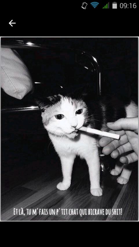 Aka L'Alien tweet media