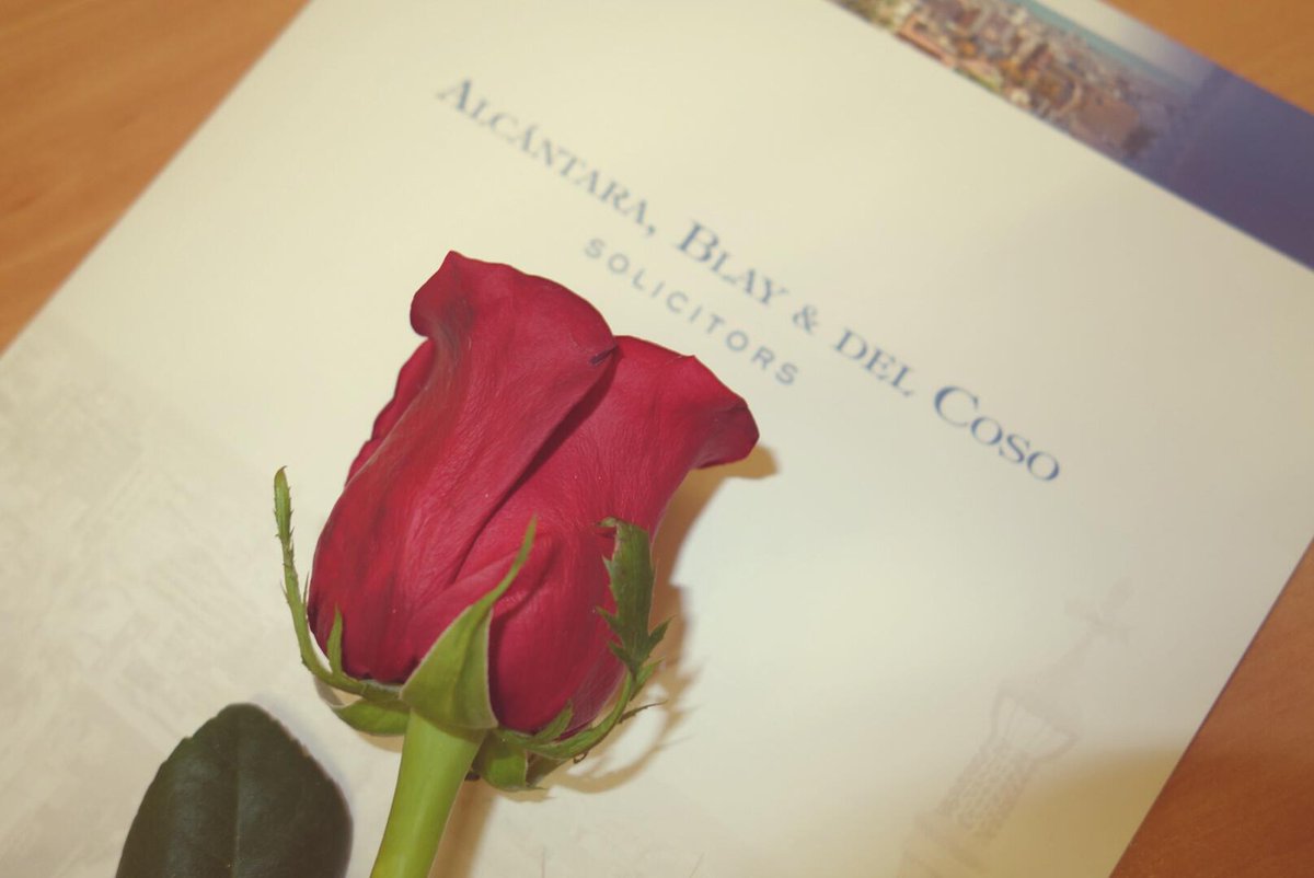 Alvaro del Coso tweet media