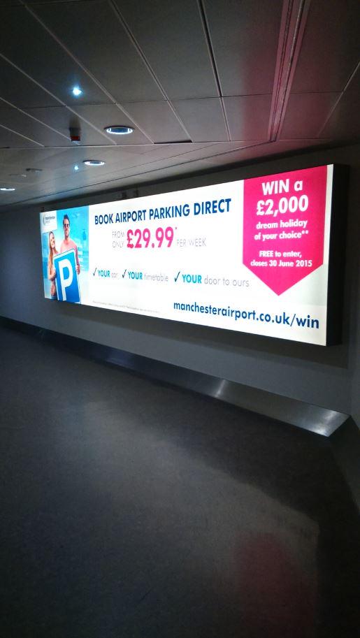 Graphic Evolution tweet media