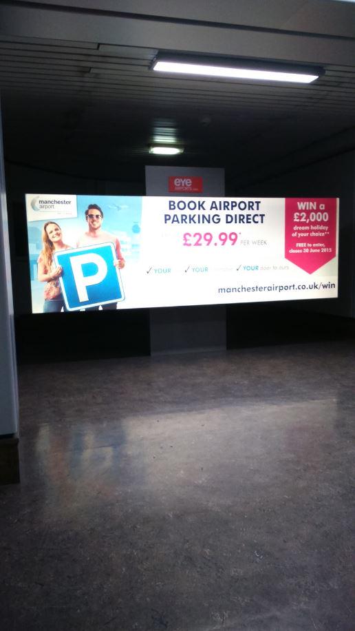 Graphic Evolution tweet media