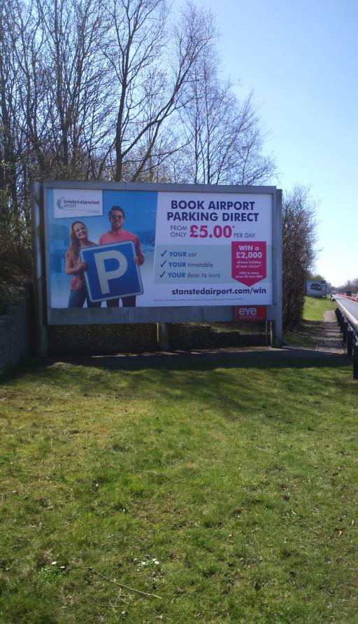 Graphic Evolution tweet media