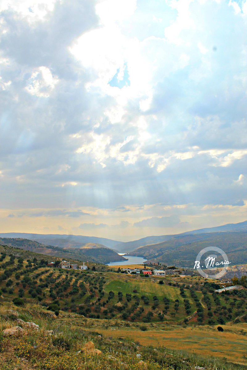 JRFC_JoRo's tweet photo. #ShareYourJordan 
Photo by #JoRo : Maria Barakat
#Jordan #Nature #LoveJo #JRFC #Jo #JoSpring http://t.co/YuELEjOh1r