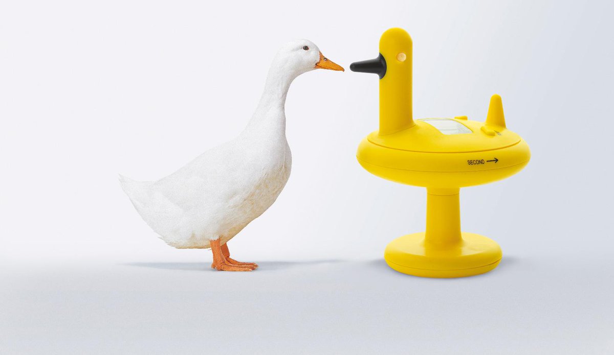 Julia Wiener tweet media