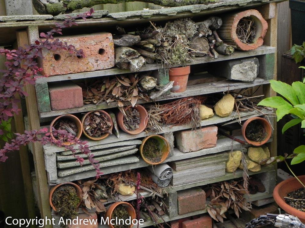LWE_Hub's tweet photo. #Gardening For Wildlife Online Course http://t.co/bvFAqQchEe with @AndyMcIndoe via @MyGardenSchool Book NOW! http://t.co/gVSULwOPdO