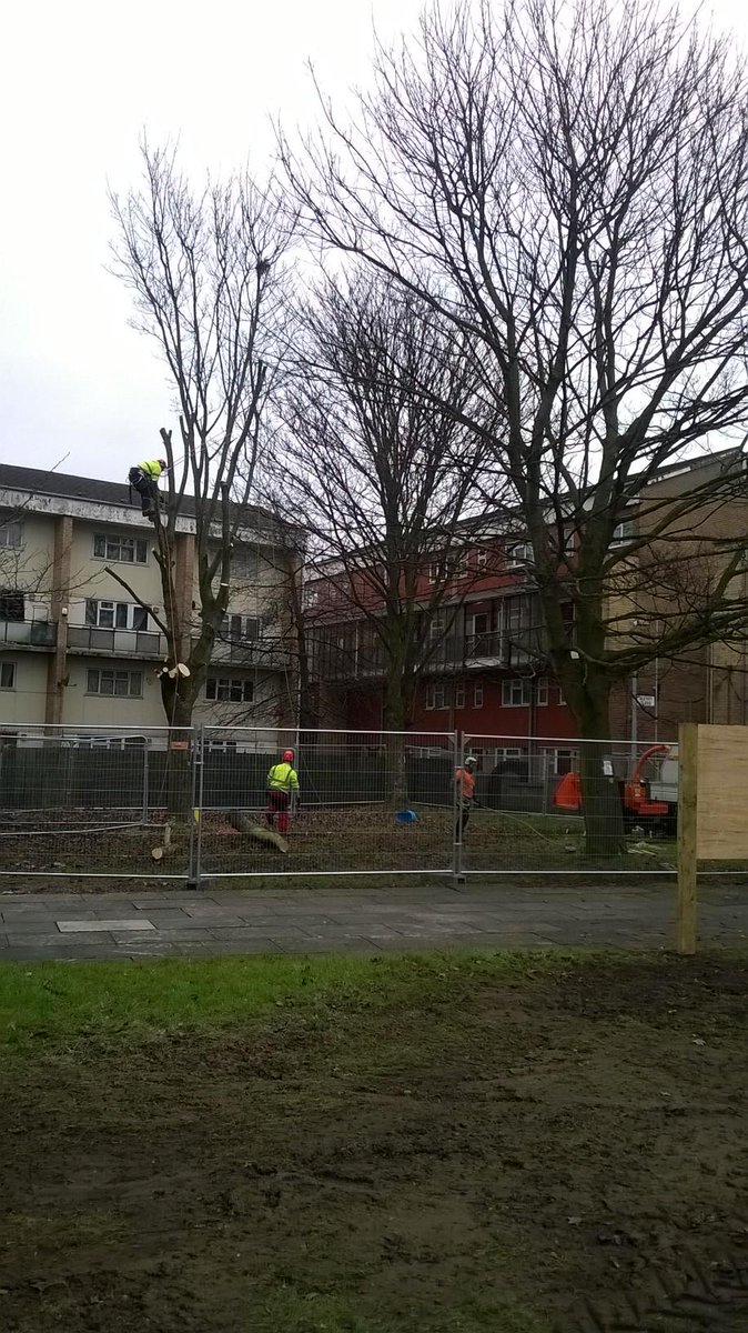 HelmrigLtd's tweet photo. In Manchester dismantling Trees in a park for regeneration programme and coming across resistance http://t.co/ncTHniS4ac