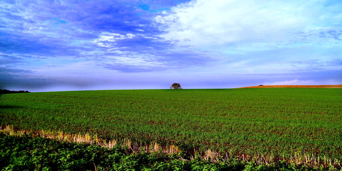 RaiExpo's tweet photo. Giving the land back to nature #CountdownToExpo2015/4 #Expo2015
http://t.co/NAEFLjAAiH http://t.co/1TEK9G3DPO