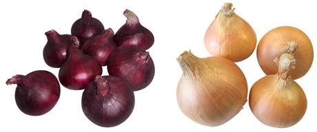 Nieuwe oogst rode en gele bio-uien uit Egypte bij Gourmet <a href="/Gourmetbv/">Gourmet</a> agf.nl/artikel/124769…