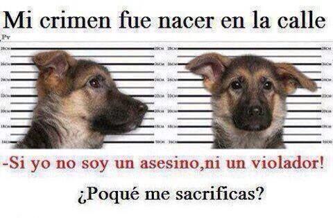 _Paisajes_'s tweet photo. Hagamos un poco de conciencia. RT y FAV http://t.co/zkQXxbA8EB