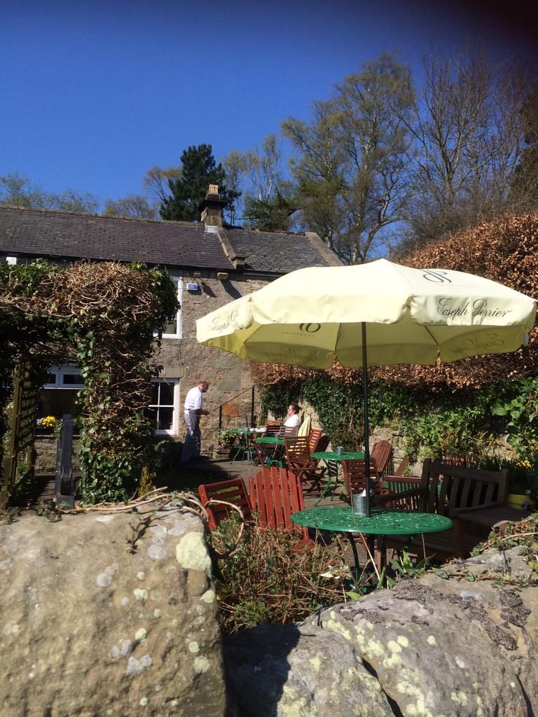 The Rat Inn tweet media