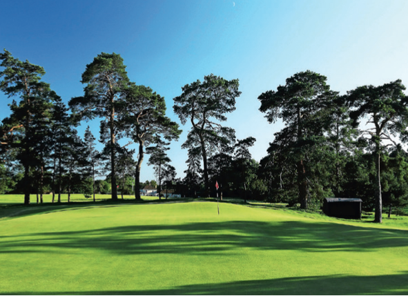 TheTodaysGolfer's tweet photo. One of the highest climbers in our #EnglishTop100 is nine-holer Royal Worlington, up 10 to No.87. http://t.co/JkkJZCH9MD