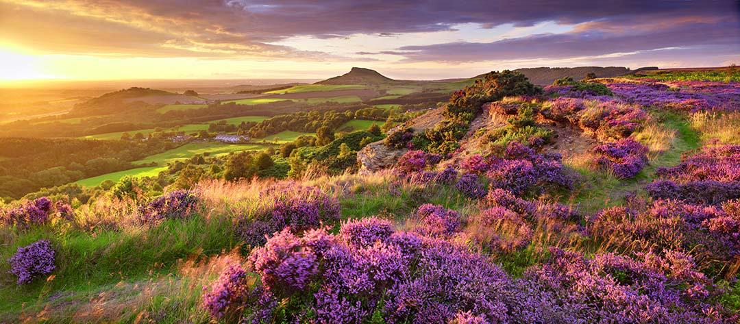 jcornishgallery's tweet photo. "...In England's green and pleasant land."

Happy St George's Day http://t.co/vA2auQOVgA