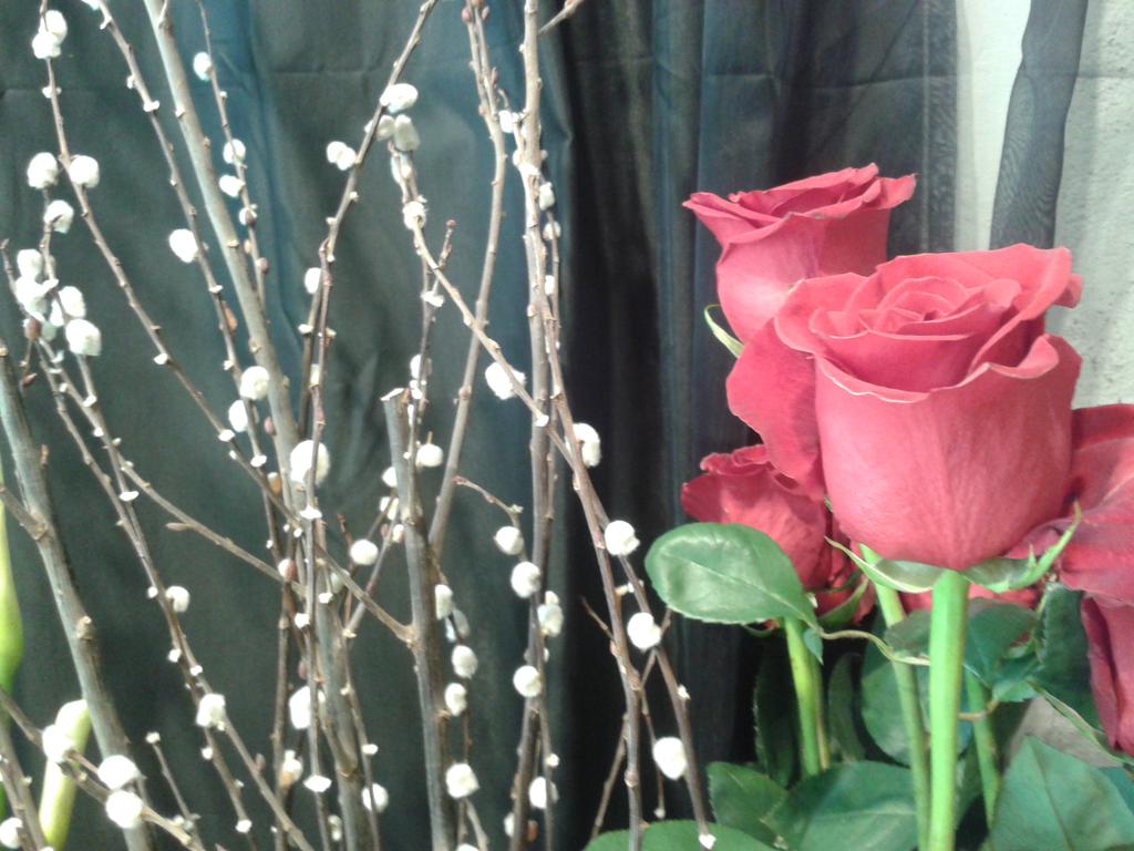 Doncs aquí,amb <a href="/karolbergeret/">karol bergeret</a>, Foix, Montse Bolet, Cisco, Marisol <a href="/sara_resta/">sara</a> i <a href="/JaninaBove/">JaninaB</a>
un bon dia de #SantJordi