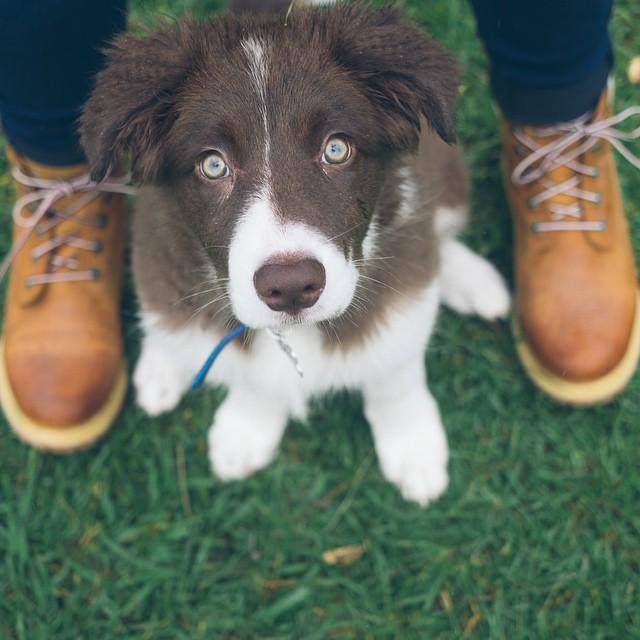 23 Nisan Ulusal Egemenlik ve Çocuk Bayramını kutlarız. Deriden / Timberland