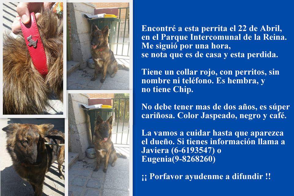 Keñi Castro tweet media