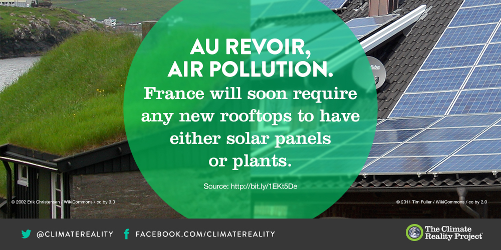 ClimateReality tweet picture