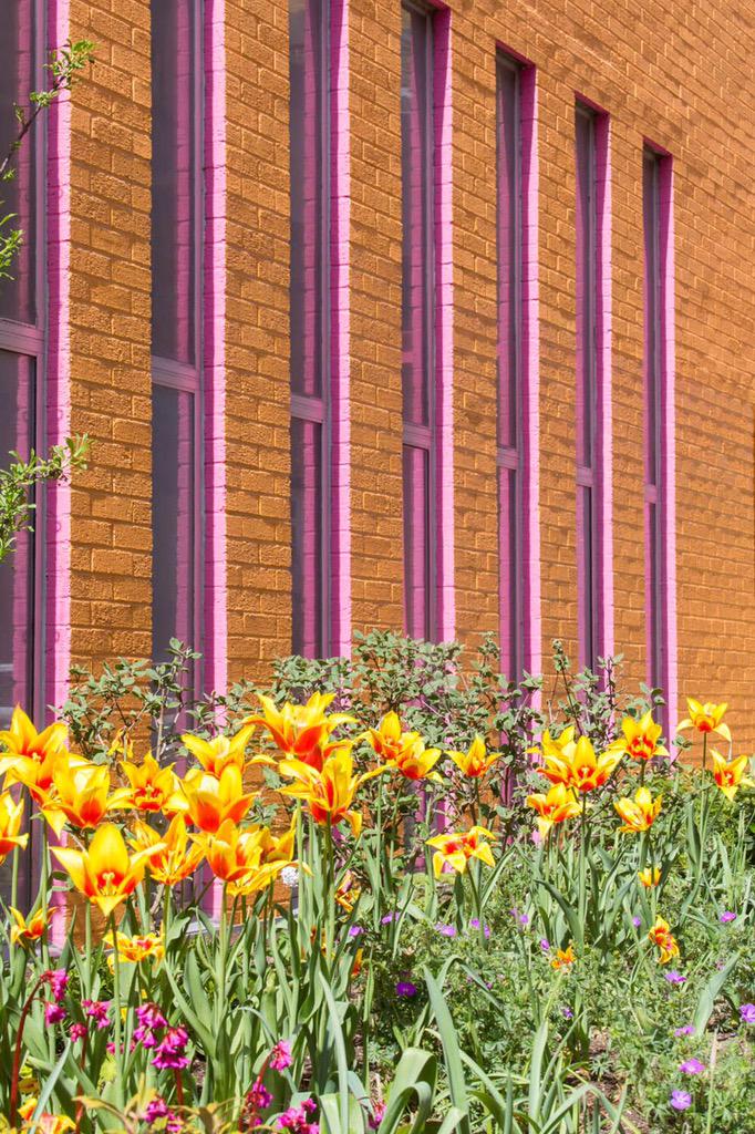 Joe Swift &amp; <a href="/Zandra_Rhodes/">Dame Zandra Rhodes</a> Pocket park at Greenwood Theatree in bermondsey looking cheery..