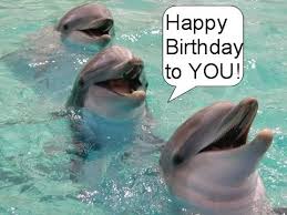 BartolottaNews's tweet photo. @sammaddie29 Happy B-Day Sam!!! #FinsUp #FinsIn15 #StrongerTogether http://t.co/LCm0NAMiSW