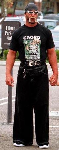 Steinhund on Twitter: "The ultimate #TBT Hulk Hogan - JNCO - Fanny Pack - Dated Sunglasses - and the belt? WTF is that? #PointsMe http://t.co/AaCWnaUi5g" /