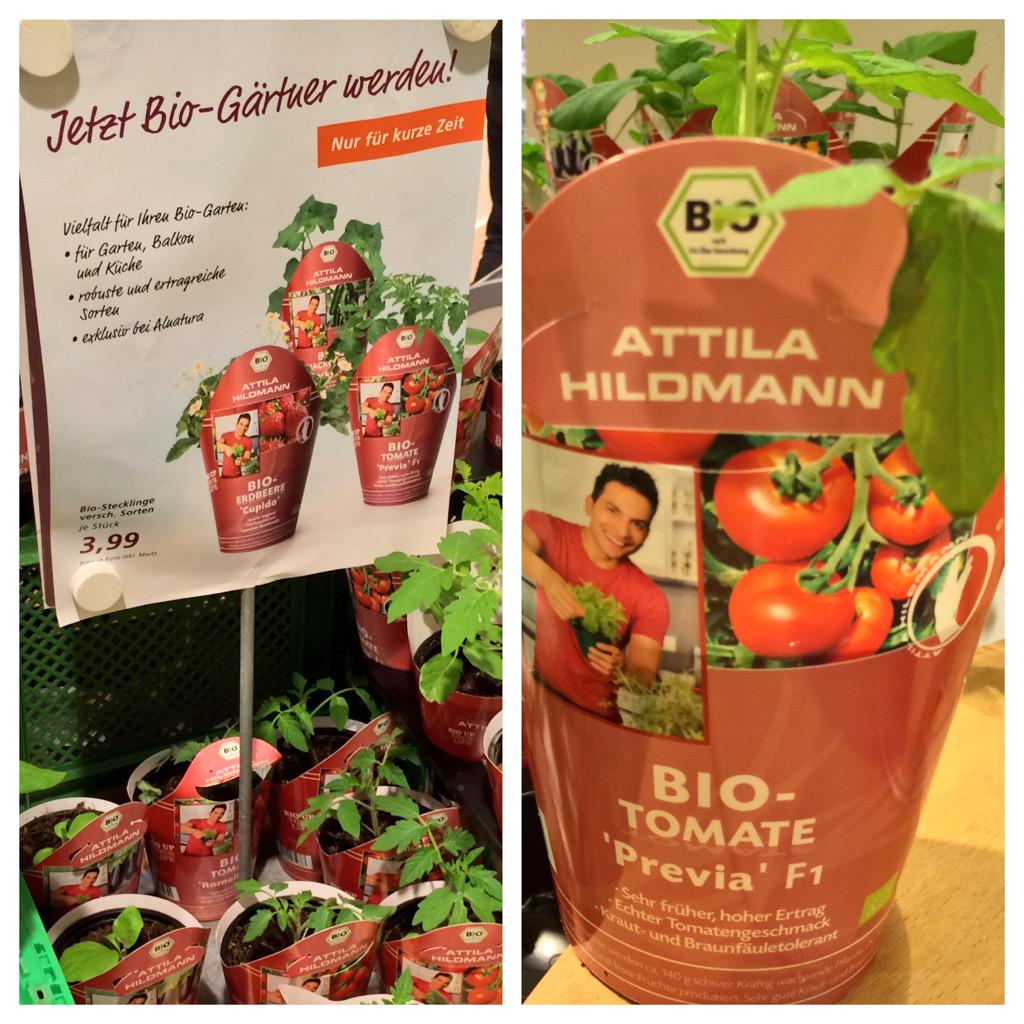 karachoberlin's tweet photo. Jetzt Bio-Gärtner werden mit Hybrid-Pflanzen von @Alnatura #fail #Samenfest statt F1 auch beim #urbangardening! http://t.co/ocaTMqvbqv