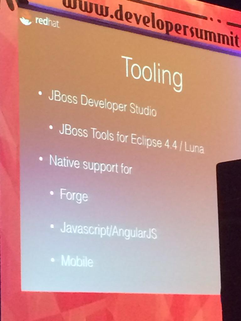sebi2706's tweet photo. @JBossForge @jbosstools So you were mentioned today at #gids keynote in front of more than 1000 attendees http://t.co/CWomAVdKUW