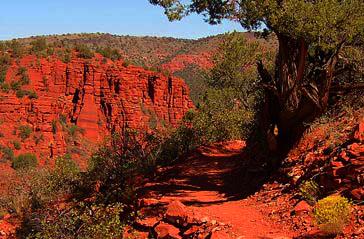RedRockSP's tweet photo. Enjoy our daily Guided Nature Walks and Activities, 10:00 AM and 2:00 PM:
For more info go to: http://t.co/S0NnFjBI9a http://t.co/4SGy57AKaZ