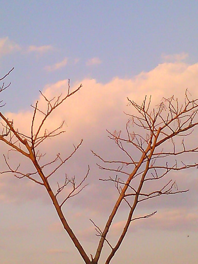 ciopred's tweet image. Cala la sera.