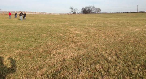 TaylorHomes's tweet photo. The lot for this year's #TaylorBuild - follow along and watch us build a home right here! http://t.co/79rLe1GFxx