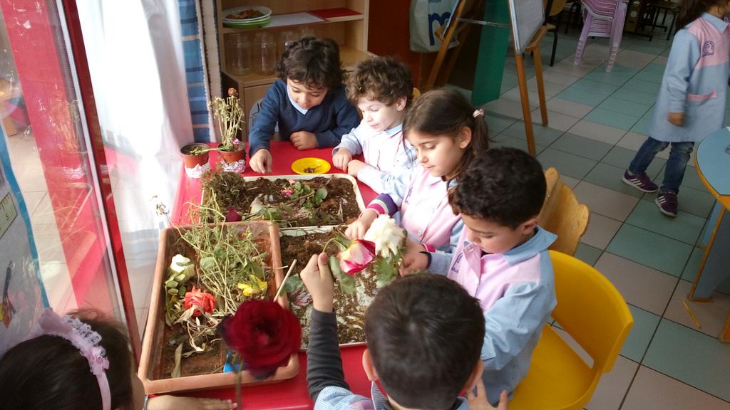 Nadanassar12's tweet photo. Little scientists observe the parts of plants and record their observations through drawing. @Hhhsinfo http://t.co/bXRZRgrqWV