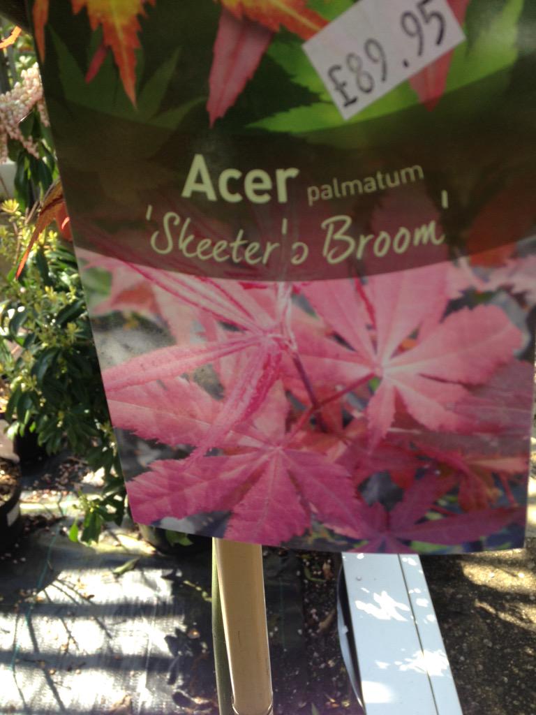 LilyevansLily's tweet photo. I saw this in the garden centre. Rita's 'branching' out! http://t.co/sershWrZPX