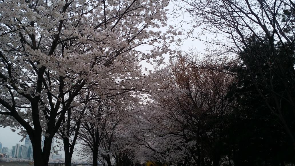 Ymlee1217's tweet photo. http://t.co/CFTT74n862