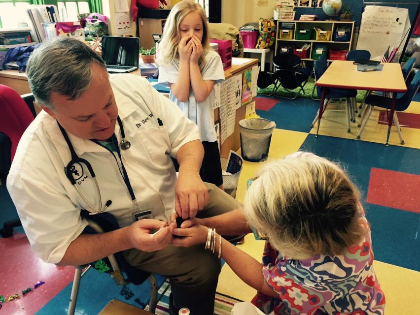 jgough's tweet image. Our favorite vet helps to keep our baby chicks healthy. Learning about vaccines.  #TrinityLearns @sfwhittle #STEAM