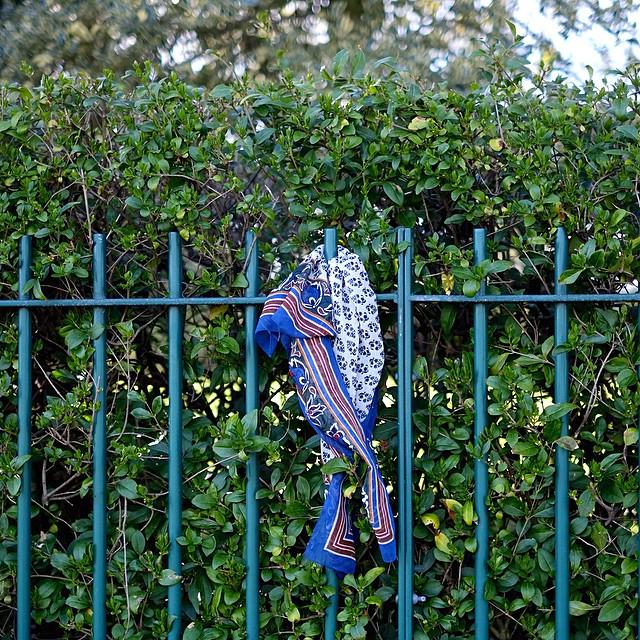 MsBizioCouture's tweet photo. Scarfs make everything interesting and I have some in my wee shoppe 😄 #edfashion #edinburgh #lostscarf #stockbridge http://t.co/0WlBz5FV90