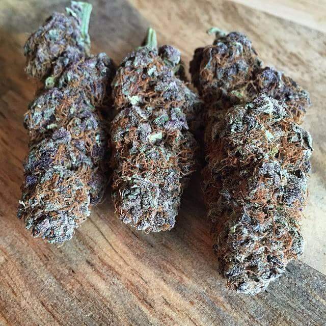 patmcdermott's tweet photo. #CoffeeWith #blackhaze ='s #yesplease. #pioneernuggets http://t.co/FiEXEBTjAt