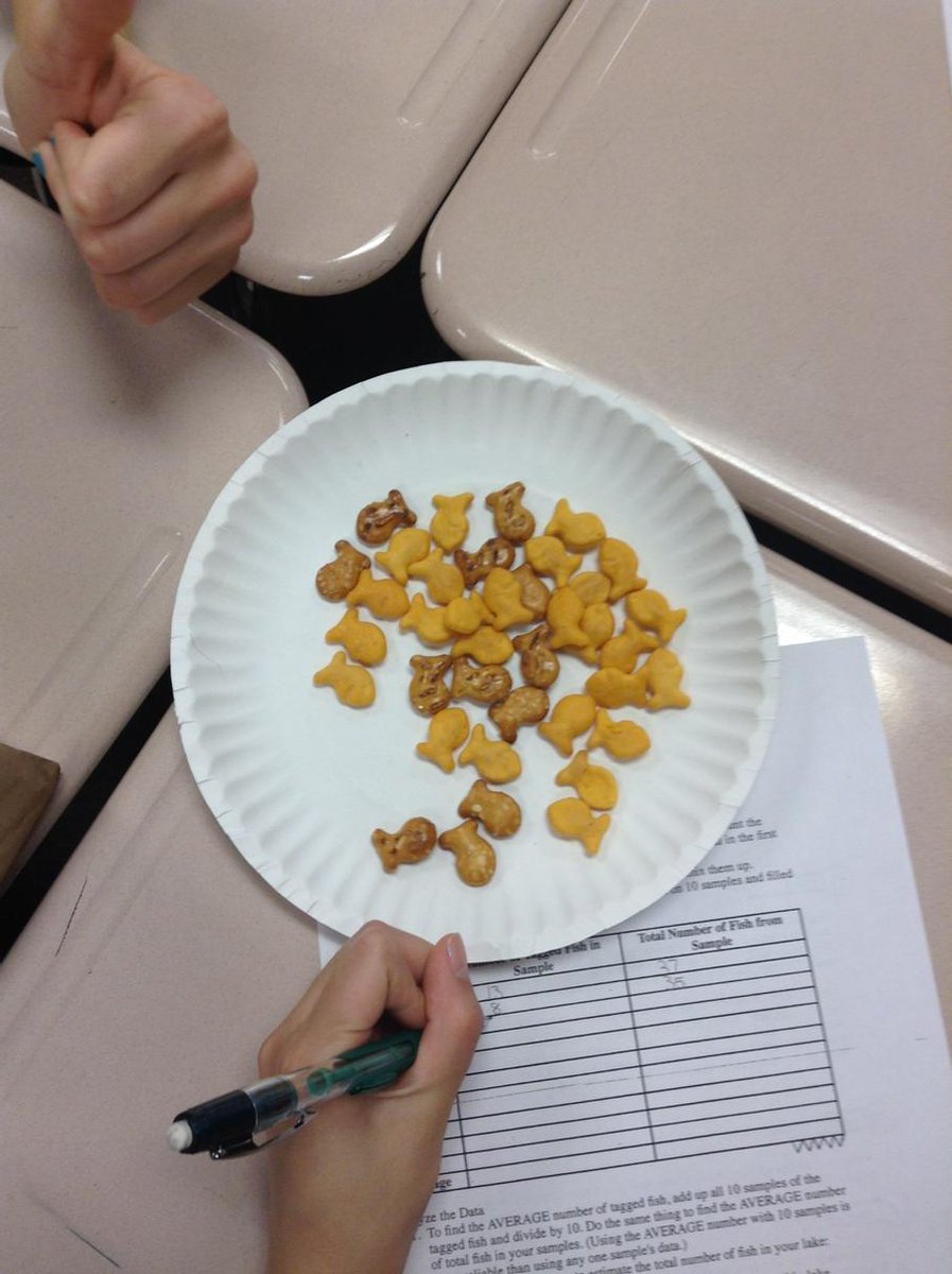 jackiehunt612's tweet photo. Using the capture/recapture method to determine a large population. #gacjh #statistics #go fish http://t.co/wCGiVSRtfr