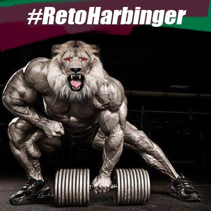 HarbingerSport's tweet photo. ¿Quién está activo con el #RetoHarbinger? Busca los pasos de la trivia por @HarbingerSport y gánate el kit #Harbinger http://t.co/nmzAqDOpKu