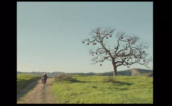 Two new <a href="/prada/">PRADA</a> videos just launched by <a href="/autumndewilde/">Autumn de Wilde</a> If only Galleria bags did grow on trees! style.com/trends/fashion…