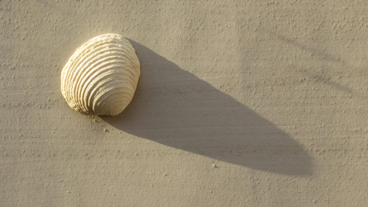 Farragoz's tweet photo. Cream handmade #paint #coloursample. http://t.co/3e7zEek4kv