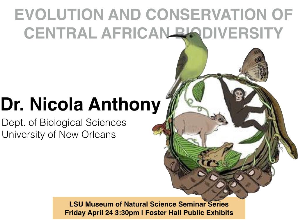LSUMNS_seminar's tweet photo. This week at @LSU_MNS - Dr. Nicola Anthony! http://t.co/AE5WQuJ9DP