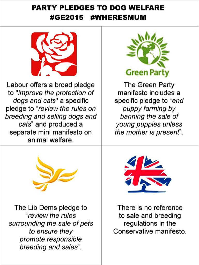 pupaid's tweet photo. Where does your party stand on puppies sold in pet shops &amp; puppy farming? This may help... #GE2015 #wheresmum Pls RT http://t.co/ECXh8C6LTX