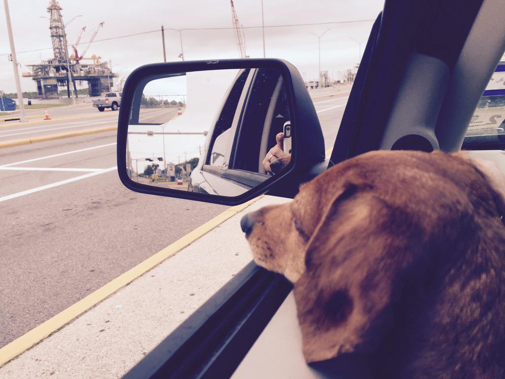 KJ Kalland (@kallandsunny) on Twitter photo 