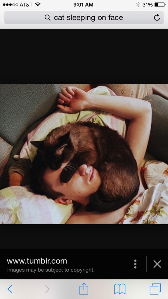 LastHurrahFilm's tweet image. #WTF, kitty, seriously? #ThoughtOfTheMorning #catproblem