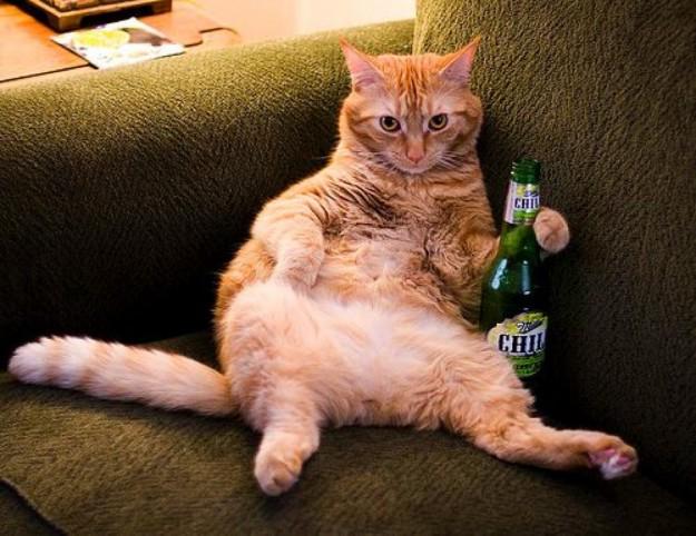 radiopico's tweet photo. Chi vuole una birretta?
#aperipico insieme a Lila oggi! Fino alle 20, musica, chiacchiere e bella gente! http://t.co/LR2Hp5XVQY