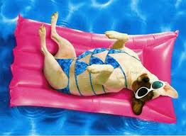 PoolButlers's tweet image. Warm weather is almost here! Call us and be ready when the warm weather hits! #alton #godfrey #troy #IL 618-251-0041