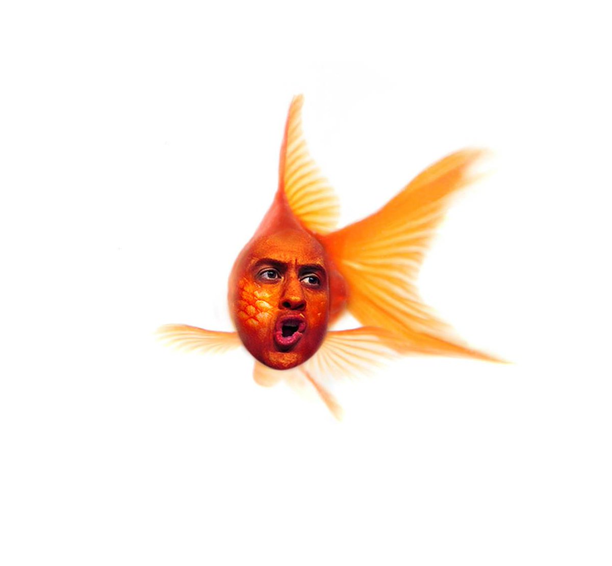 goldfish_ian's tweet photo. See...We're not so dissimilar @Ed_Miliband and I #lessthinkingmoredoing #FINPARTY http://t.co/hIyeL2iRL5